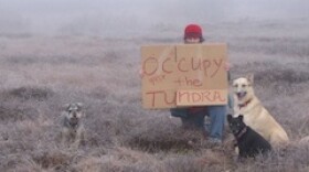 Diane McEachern's take on the Occupy Wall Street movement has garnered a lot of interest online. Photo Courtesy of McEachern.