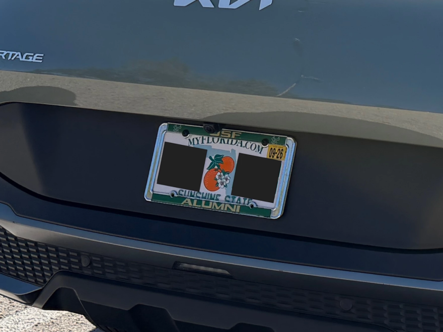 Primer plano de una matrícula estándar de Florida en un vehículo. Tiene un marco de matrícula de acero, verde y dorado que no oculta los números de la matrícula.