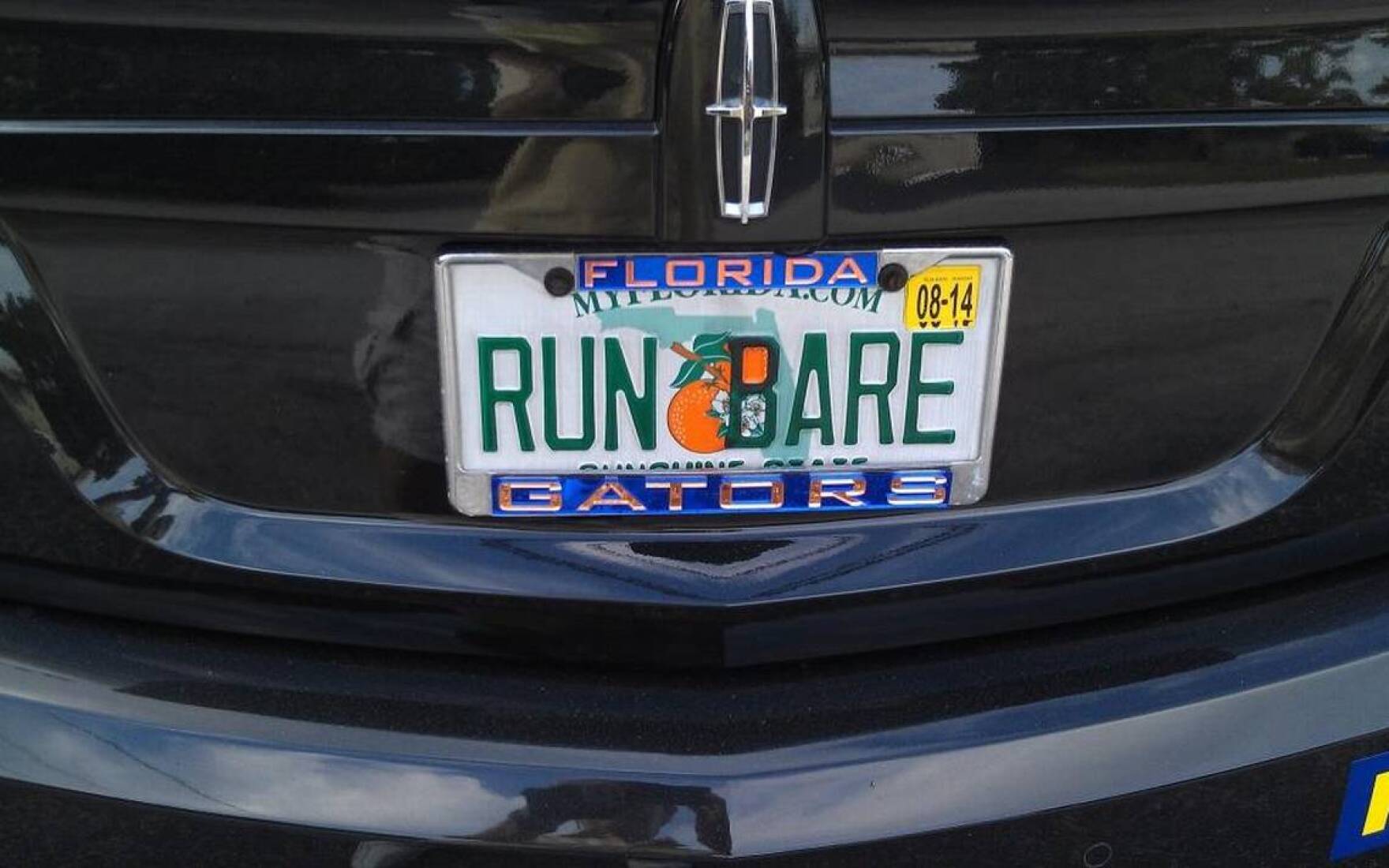 License plate