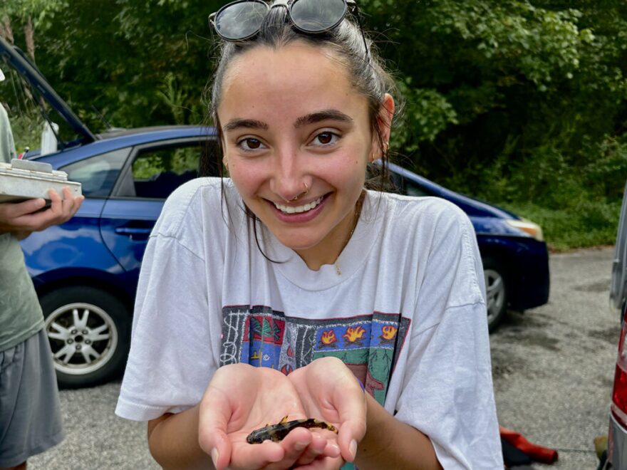 Pamlico-Tar Riverkeeper Katey Zimmerman holds the endangered Carolina madtom.