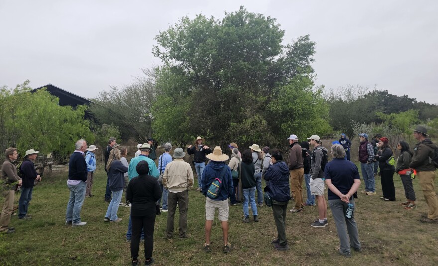 people gather in McAllister Park