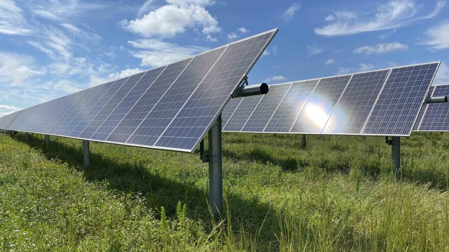 A Dominion Energy solar farm in Sussex County. (Photo by Katherine Hafner)