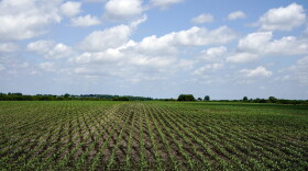 farm field