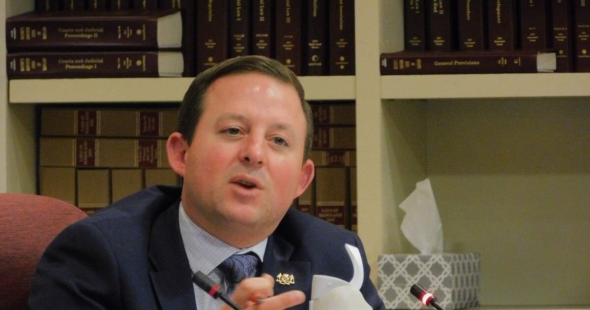 Maryland utilities testify on pricey transmission projects; oversight legislation to come