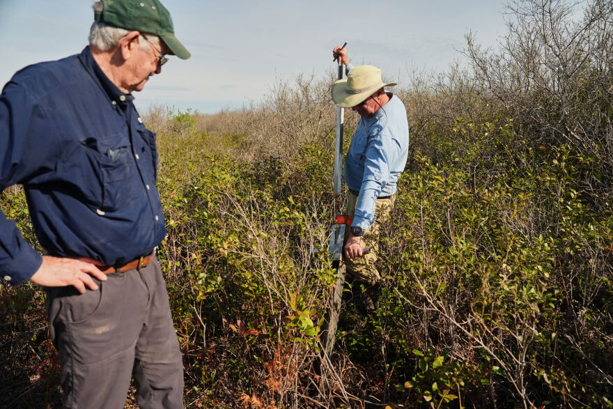 Neal Flanagan, right, a research scientist at Duke University, uses a tool to take a soil sample from a peatland as Curt Richardson, an ecology professor at Duke, observes Wednesday, May 6, 2026, in Belhaven, N.C.