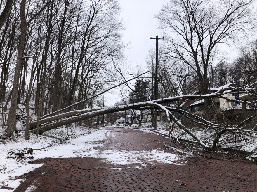 a fallen tree crosses over a road with light snow on both sides