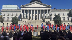 Red and blue silhouettes representing the 40 women and men who died from domestic violence are displayed during the 2026 Silent Witness Ceremony on the Statehouse grounds in Columbia.