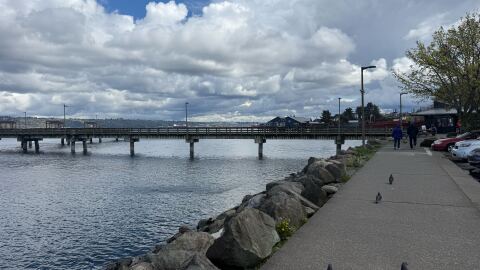 Birds walk on a pier that runs along blue water on a clear day.