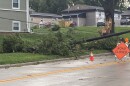 A downed power line, broken tree, and road closed sign from Aug 13 thunderstorms in Bloomington Normal.