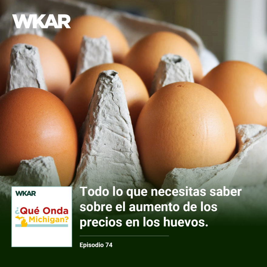 En la imagen se puede observar un carton de huevos de color cafe.  En el lado inferior de la imagen esta el logo de Que Onda Michigan sobre un fondo blanco. En la parte derecha las siguientes palabras estan escritas: "Todo lo que necesitas saber sobre el aumento de los precios en los huevos." En el lado superior de la imagen se encuentra las pablaras "WKAR" en color blanco.  y "Episodio 74".