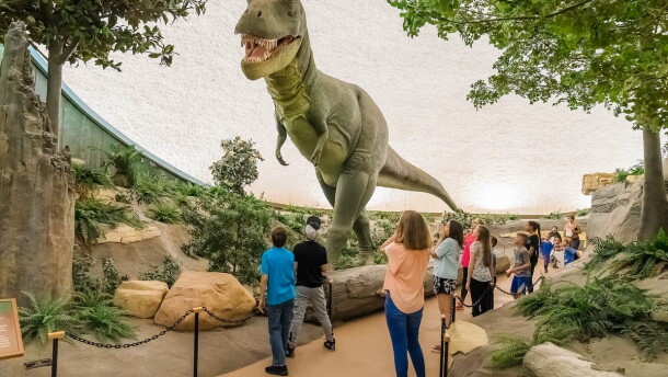 The Sternberg Museum of Natural History in Hays has a collection of more than 3 million fossils and other specimens.
