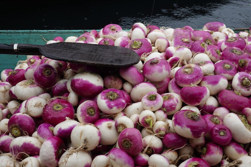 Turnips are one of the main winter vegetables traded at Dal Lake's floating market.