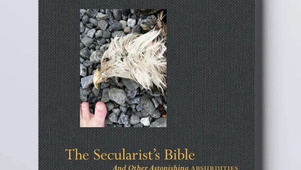 TSBmockupcover