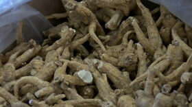 Wisconsin Ginseng