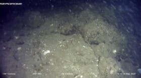 mage from an ROV of semi-circular stacked stones on the seafloor, part of a larger weir complex. Image courtesy of Dr. Kelly Monteleone, Our Submerged Past.