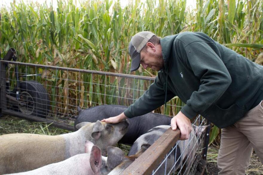 Farmer Zack Smith, who calls himself "The Stock Cropper," pets one of the pigs in his mobile pen.