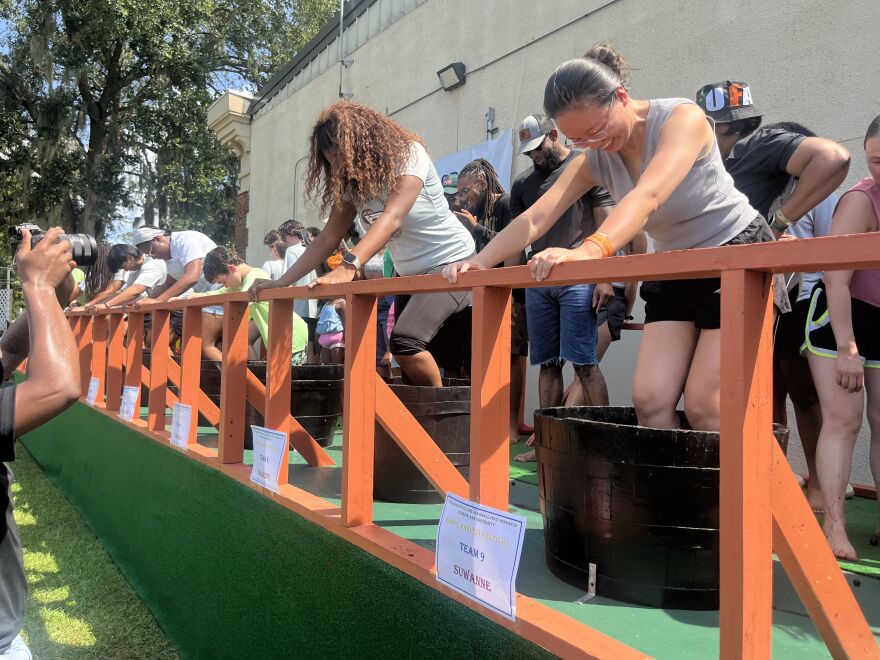  Dozens of people compete in grape-stomping competition