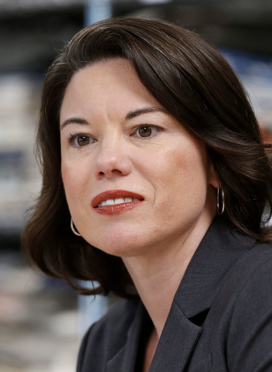 Minnesota Democrat Angie Craig, a former health care executive, is the first lesbian mother to be elected to Congress.