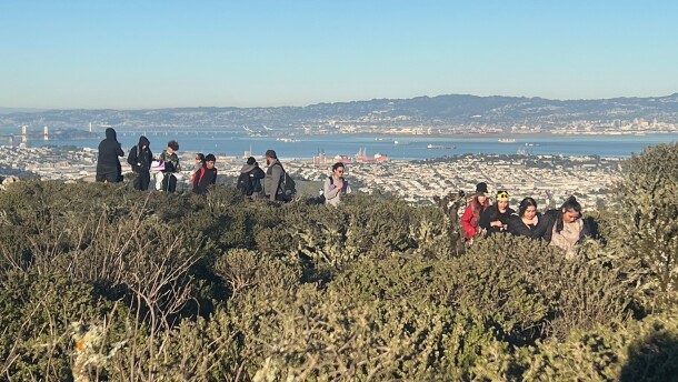 Downtown High students conduct field studies at San Bruno Mountain State and County Park.