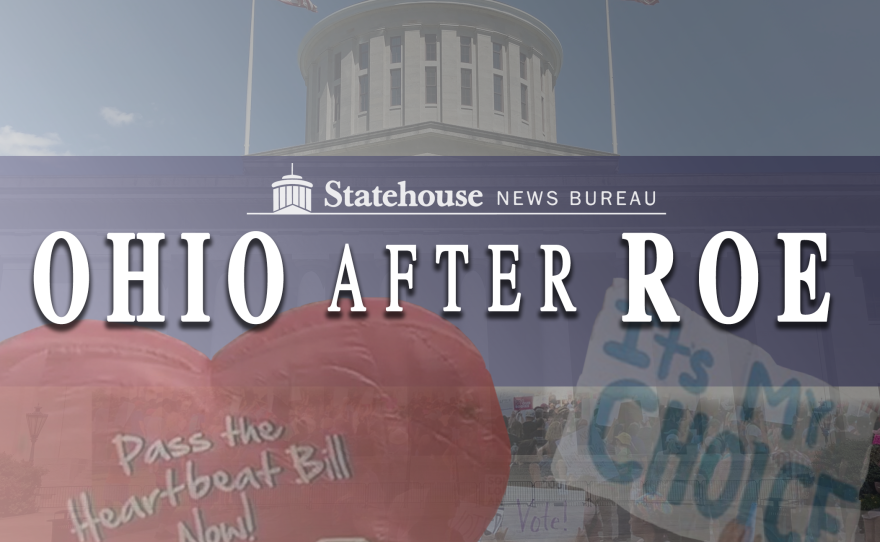 Ohio After Roe Full Screen 4.png
