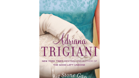 a book cover that says "big stone gap" 