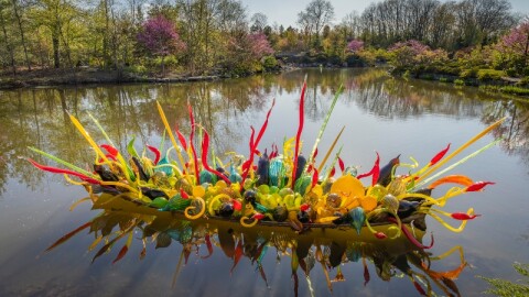 Dale Chihuly's Fiori Boat at Frederik Meijer Gardens & Sculpture Park
