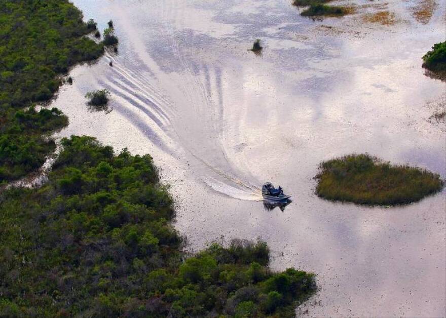  Workers use airboats to reach Old World climbing fern that has spread across the Loxahatchee National Wildlife Refuge.