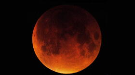 Blood Moon 2015