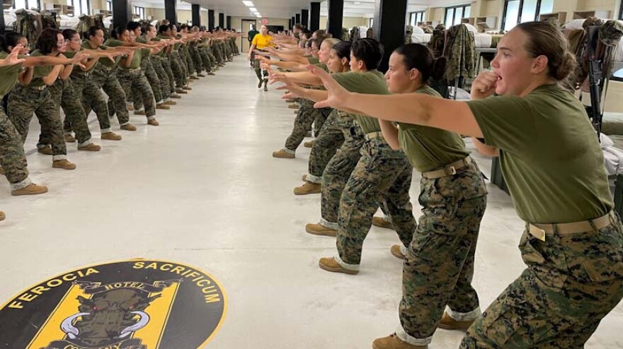 Recruits practice martial arts in Parris Island Barracks earlier this month. (Image: Steve Walsh)