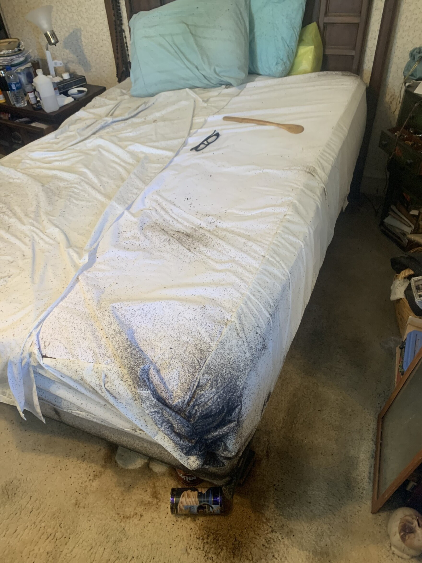 'Don't let the bed bugs bite' Northeast Ohio cities place high in ...