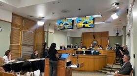 A woman in a black shirt speaks during public comment at Tampa City Council