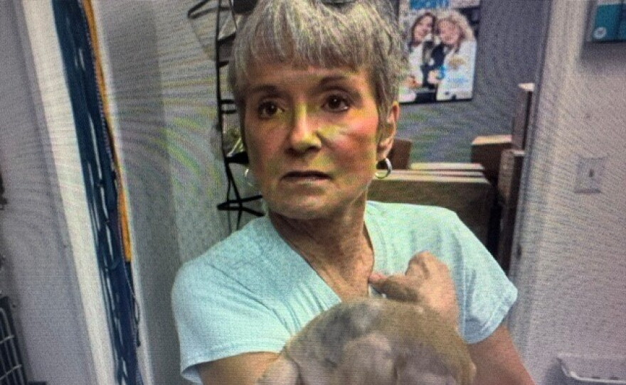 She picked up five puppies that had been dumped.