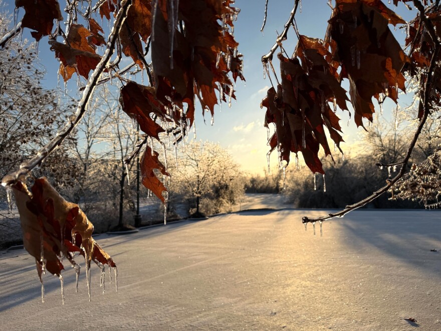 Ice covers much of Tennessee and officials expect a prolonged freeze this week.