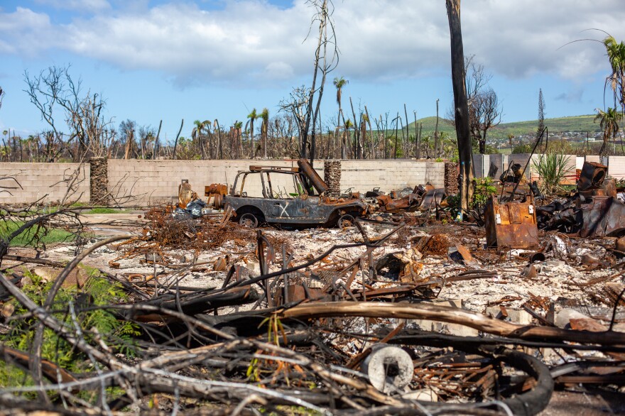 More than 2,000 buildings burned in the fire, including their appliances, plastics, car batteries and other potentially toxic materials. The ash has been shown to have lead and arsenic.