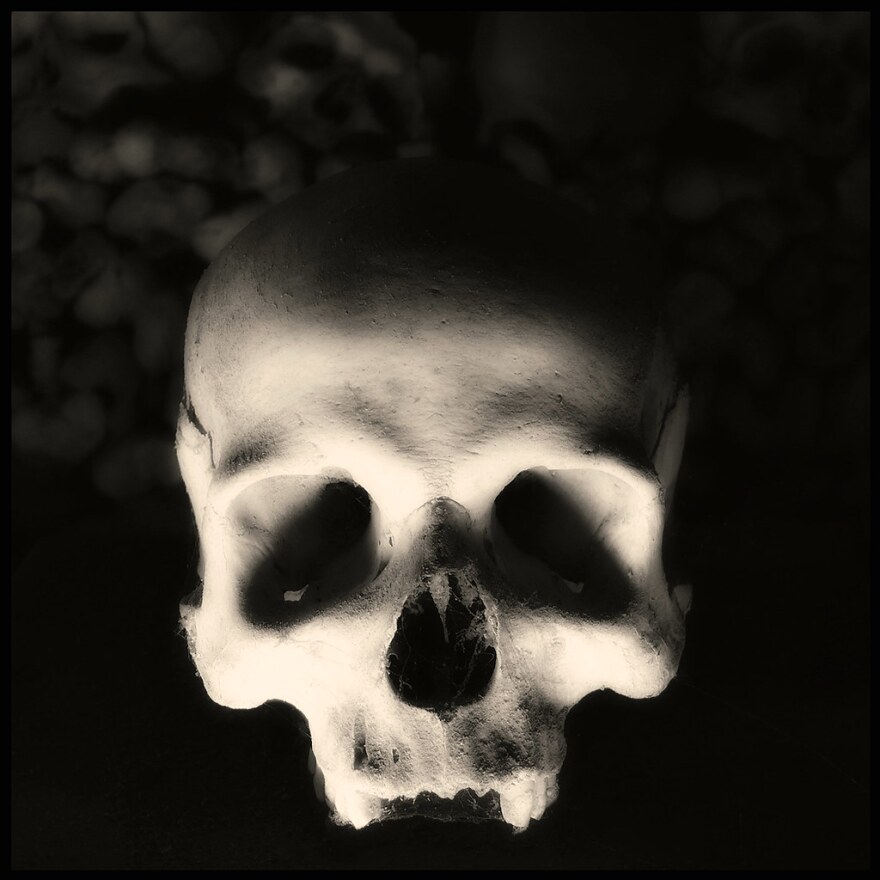 skull_-_creative_commons_-_augusto_de_luca.jpg
