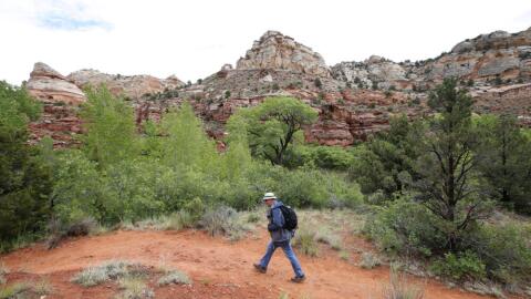 A hiker makes his way up a trail to Calf Creek in the Grand Staircase-Escalante National Monument on May 10, 2017 outside Boulder, Utah. (George Frey/Getty Images)