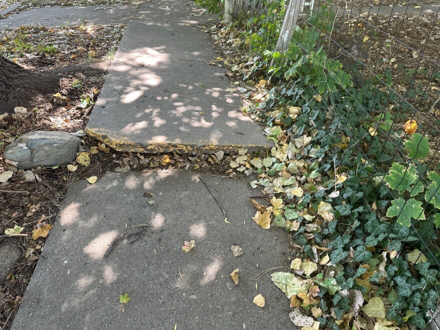 Damaged sidewalk in Paonia, Colorado