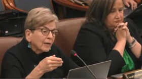 Michigan Board of State Canvassers Vice Chair Mary Ellen Gurewitz speaks at a meeting of the board on May 28, 2026.