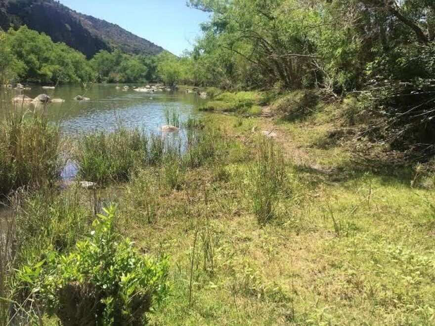  The U.S. Forest Service says one preventative management option is fencing. The Center for Biological Diversity says it's imperative fences are monitored and fixed when broken. 