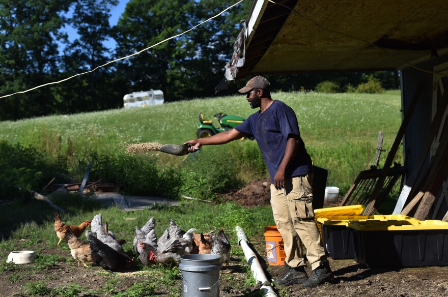 Daryl Minton, 45, throws chicken feed into a yard where the chickens roam at the Triple J Farm in Windsor, N.Y. Minton lives and works on the farm his grandfather, James Minton, bought it a decade ago. Between lending discrimination and rising costs, many obstacles stand in the way of Black Americans looking to own farmland.