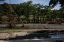 A stark and flooded landscape is pictured where Blue Oak RV Park's community used to sit on Thursday, July 17, 2025, in Kerrville, Texas.