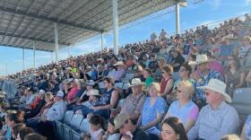 Rodeo audience at the McKenzie County Fair