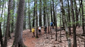 Sheldrick Forest in Wilton, like many Granite State forests, has seen many changes in the centuries since the founding of the United States.