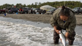 a woman bends over with a fish in her hands, rinsing it off in the ocean
