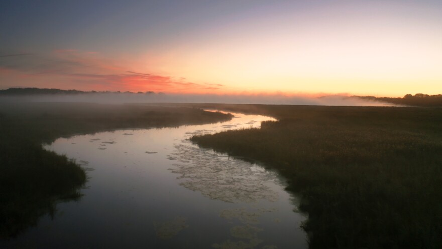 A foggy marsh in the Waubesa Wetlands brims with mystery.