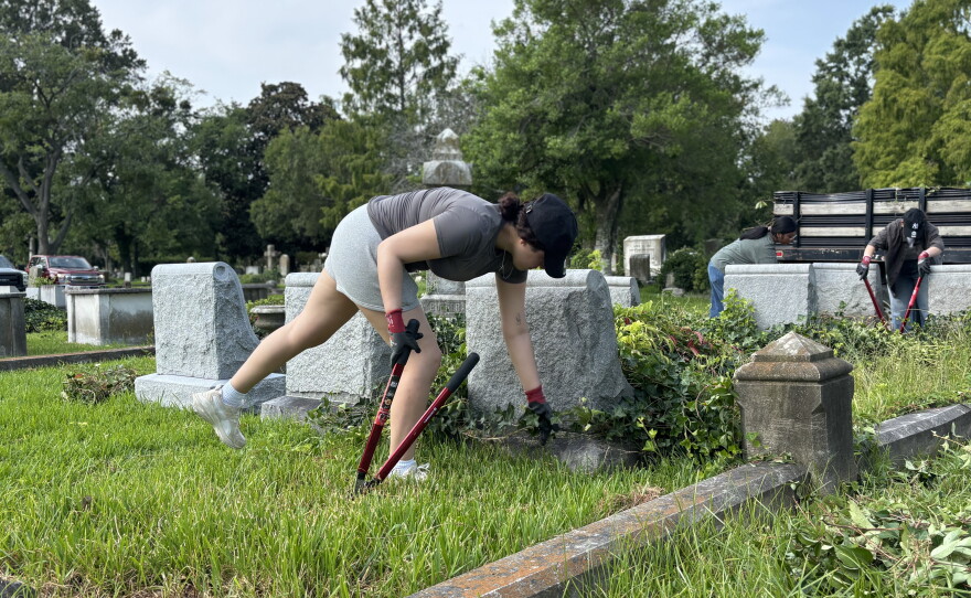 Sailors from the USS Harry S. Truman help remove ivy at Elmwood Cemetery in Norfolk in August 2026.