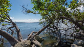 The Indian River Lagoon is one of 28 federally-designated “estuaries of national significance,” including four in Florida.