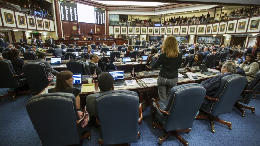 Florida Rep. Kristin Diane Jacobs speaks on the gun safety bill in the House chamber at the state capitol. Victims' families are urging them to pass the law.