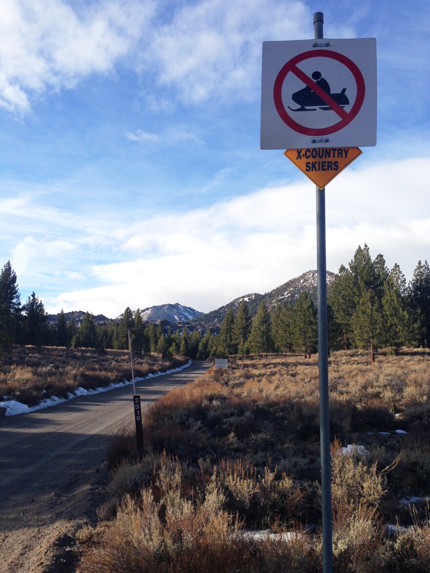 A cross-country ski trail, with no snow, outside Mammoth Lakes, Calif.