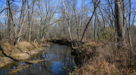 The Indiana Department of Natural Resources hopes to open the new Busseron Creek Fish and Wildlife Area to the public in April 2025.